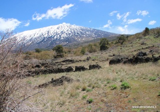 nte Egitto-29-04-2023 12-03-11